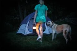 Nebo BIg Poppy RC Lantern 15 Nebo BIg Poppy RC Lantern -Vango Shop eneb6908 16 fullsize